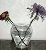 Drying flowers using water